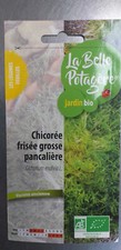La Belle Potagère Chicorée frisée grosse pancalière,variété ancienne,graines bio