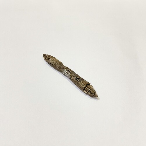 NECA Alien Vs Predator Action Figures Accessories Collectible Alternative - Picture 13 of 24
