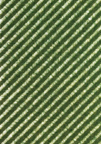 Busch 1343 Grasstreifen Sommer H0/N/TT/Z/G/0