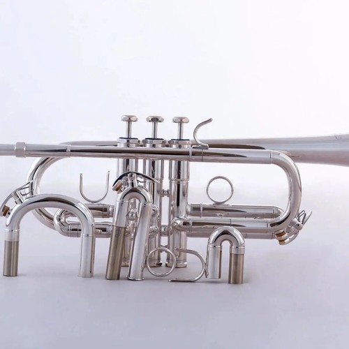 Tromba professionale goccia argento dalla E alla D con due set - Foto 2 di 12