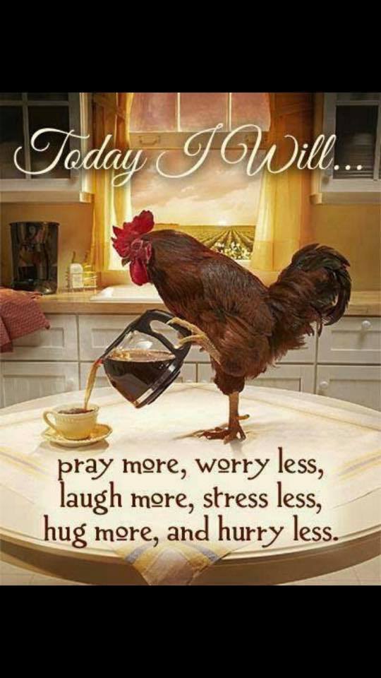 Funny Good morning chicken refrigerator magnet 1/2 x 1/2