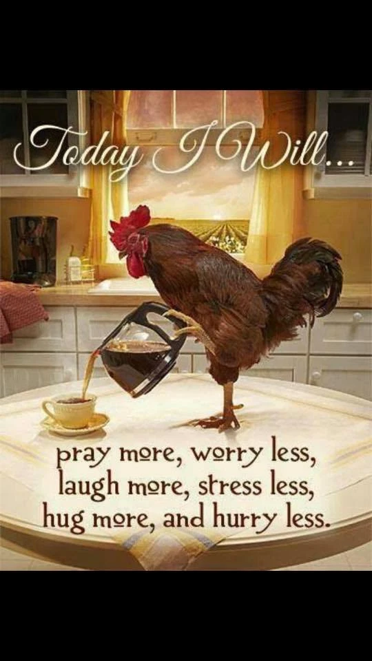 Funny hotsell good morning