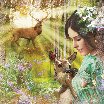FOREST ( 1 ) ALL OCCASIONS GREETING CARD WITH C.D - BLANK INSIDE