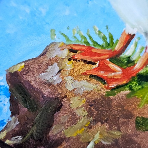 Original Oil Painting Atlantic Puffin Iceland Coastal Bird Art 4x6 inch Framed - Picture 7 of 14