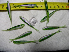 200-2 1/4"-crappie-panfish-soft minnows-jigs-grubs-split tails-flukes-bait-scent