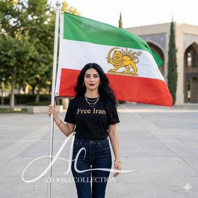 Iran Flag 2x3 Ft Lion And Sun Flag Persian Heritage
