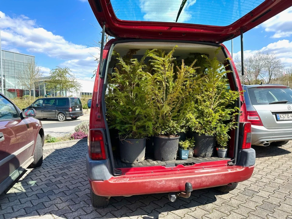 Citroen Berlingo 2001 1,6 16V 109 PS, Motor gut, siehe Beschreibung,  Abholung - Bild 3 von 4