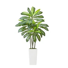 Uimoso 5ft Faux Dracaena Tree with White Pot for Indoor Spaces