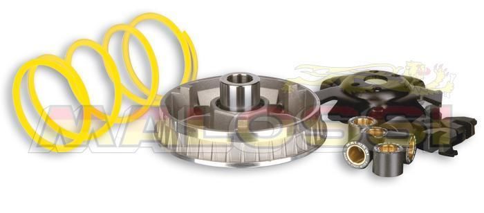 Variateur Malossi Multivar 2000 5112133 pièce transmission Linhai Monarch 125 150
