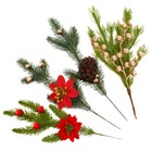 Bild 7 von 12