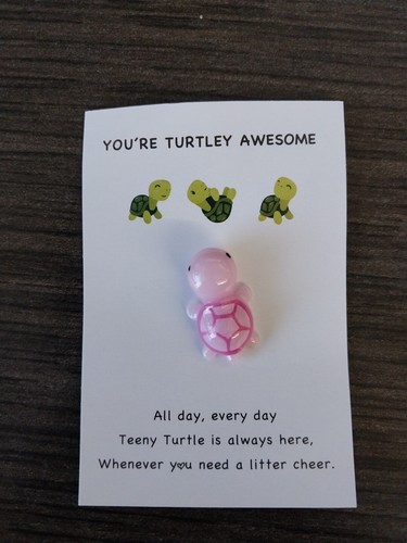 You’re Turtley Awesome Card– Turtle, Card Gift Set for Men Women Teens Pink - Bild 1 von 2