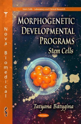 Morphogenetic Developmental Programs: Stem Cells (Stem Cells -