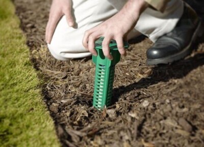Coclea/strumento Per Pulizia Sub Termite Per Manutenzione Annuale Sulla Coclea/strumento Per Pulizia Sub Termite Per Manutenzione Annuale Sulla