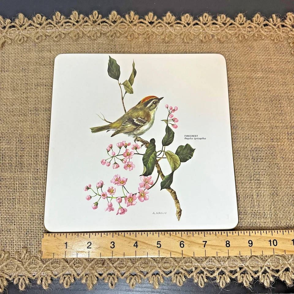 Vintage Pimpernel Sheraton Placemats Set of 6 British Birds Boxed Cottagecore - Image 3 of 4