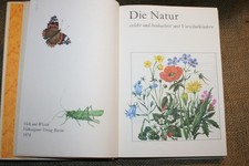 Naturbuch Gartenbuch Kindergarten Schulgarten Experimente Botanik DDR 1978