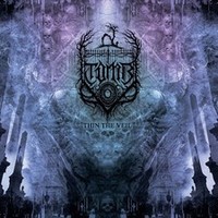 T.O.M.B. - Thin The Veil - Vinyl Record 12 Album - G72Z