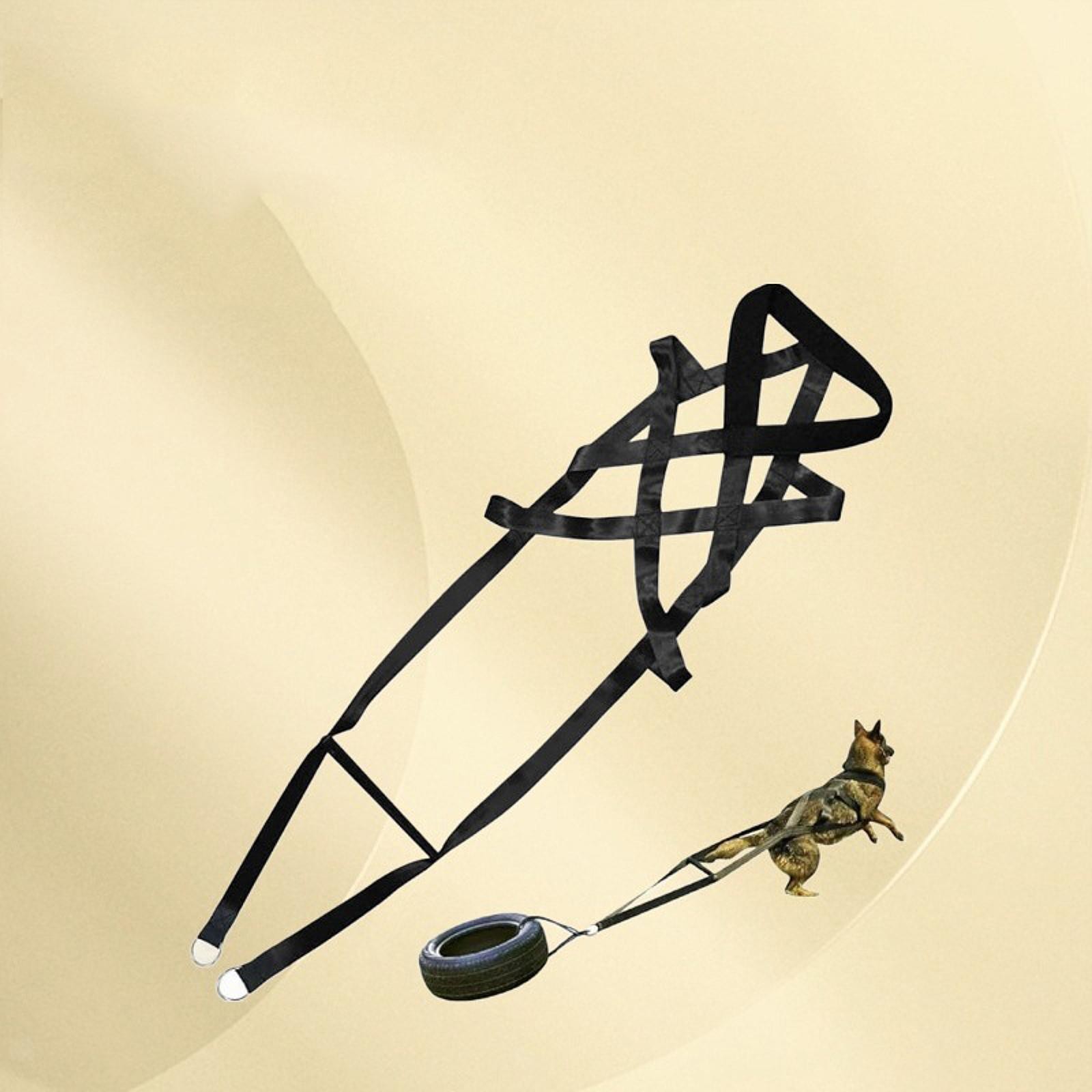 Dog Weight Pulling Harness for Medium Large Dogs Weight Pulling Dog Sled Harness