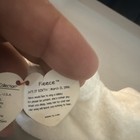 Ty Fleece Lamb - Beanie Baby Retired Plush Toy 1996 with Tag — photo 4