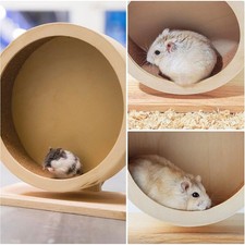 Silent Wooden Hamster Wheel with Cork Pad – Small Pet Exercise Accessory