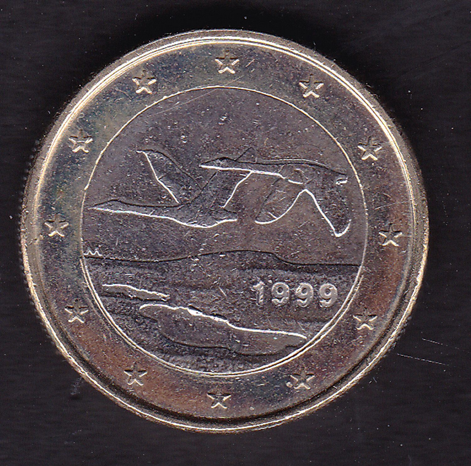 Foto 41 di 75