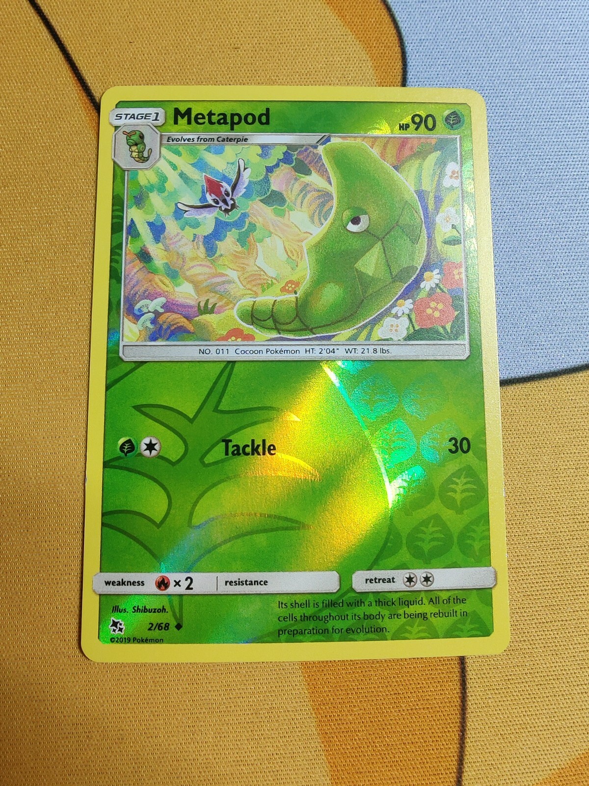 Metapod | Reverse Holo | NM/M | Hidden Fates 2/68 | Pokemon