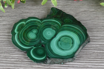 Malachite Stalactite Slice from Congo 8.2 cm   # 17885