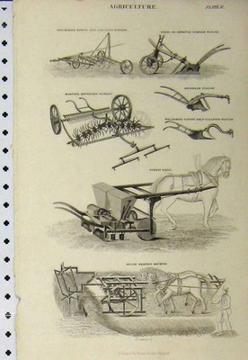Alter antiker Druck um 1890 Landwirtschaftliche Egge Pflug Rübenbohrer Ernte 19.