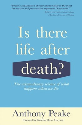 IS THERE LIFE AFTER DEATH by Anthony Peake Paperback Self Help Business