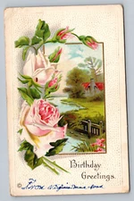 1920 Birthday Greetings Floral Pink Rose Embossed Vintage Postcard