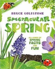 Spectacular Spring: All Kinds of Spring Facts and Fun - Paperback - GOOD