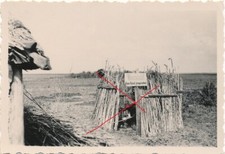 Nr. 28129 Foto 2, Wk Deutsche Wehrmacht im Osten Toilette Latrine  6 x 8,5 cm