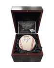KRIS BRYANT FANATICS UNDERWRAPS WORLD SERIES SIGNED AUTOGRAPH BASEBALL Q1887