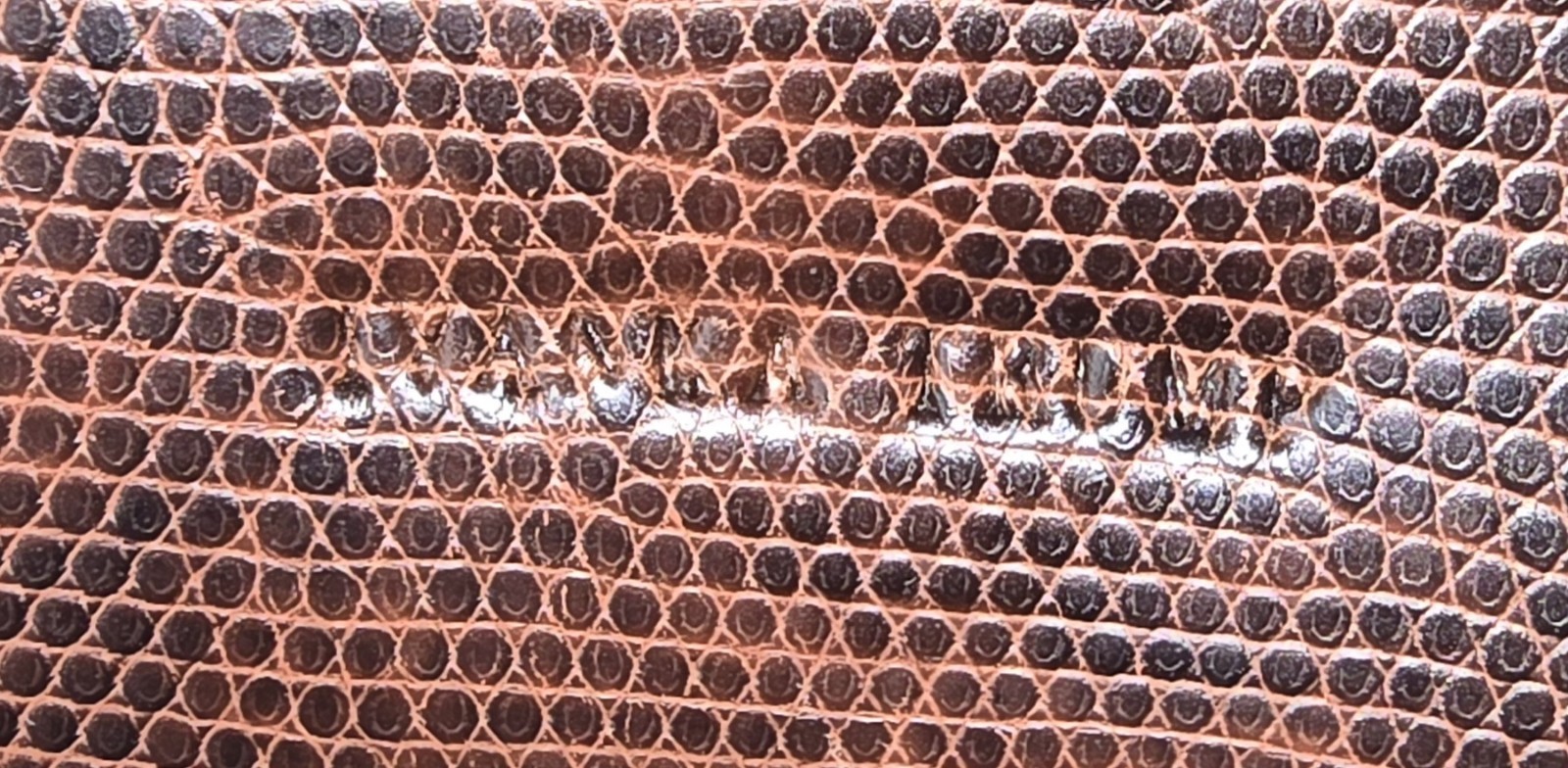 Picture 7 of 9