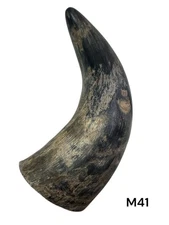 ONE MEDIUM UNPOLISHED COW HORN , REAL HORN , ONE OF A KIND , NATURAL COLOR , #41