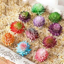 Plante de simulation succulente artificielle réaliste parfaite pour la maison e