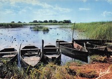 44 COTE D AMOUR LES PLATES AU COEUR DE LA GRANDE BRIERE