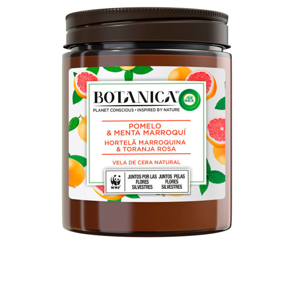 Casa Air-wick unisex CANDELA BOTANICA pompelmo e menta 205 gr