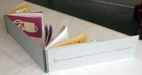VICENTE ROJO & CARLOS MONSIVAIS mexikanisch signierte limitierte Auflage Buchradierungen n31 - Bild 4 von 5