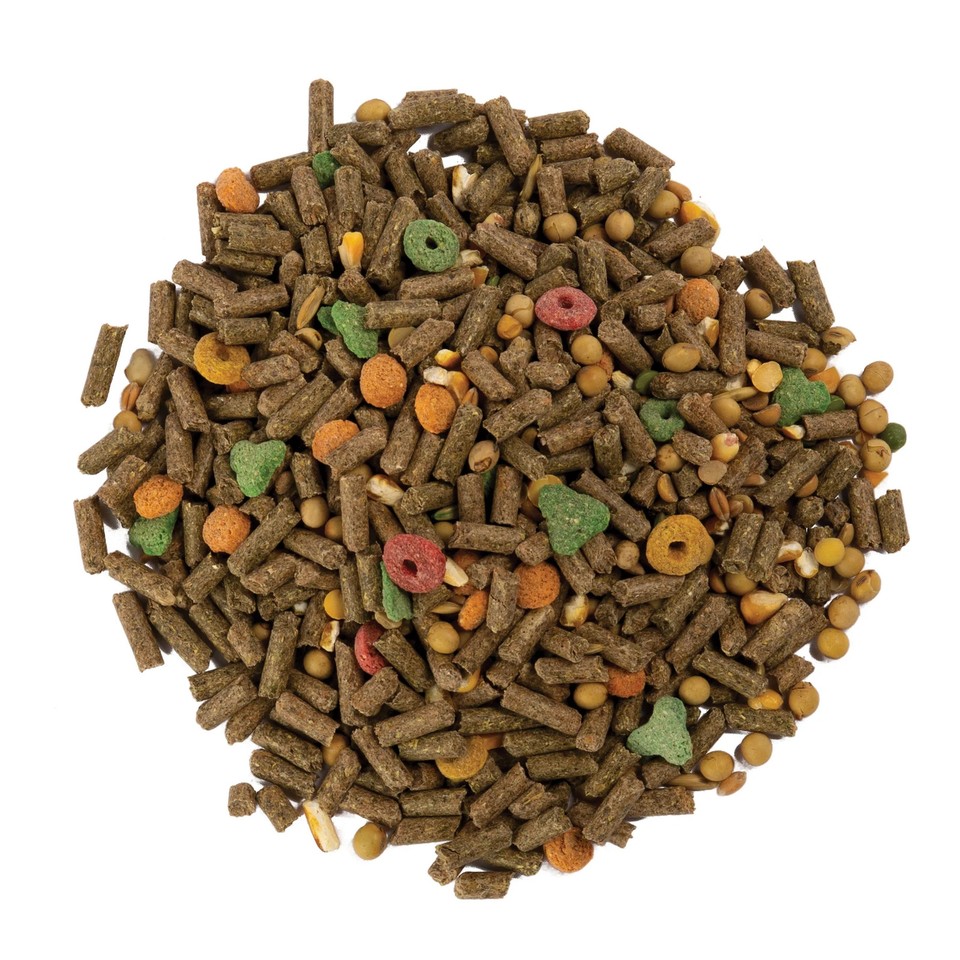 Snapshot of Complete Guinea Pig Food Pellets With Joint Support