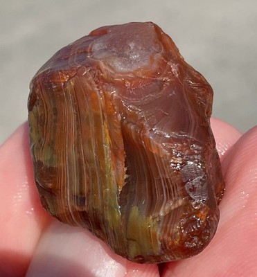 0.5 Oz Lake Superior Agate TOP SHELF Rainbow Two Faced Beauty LSA