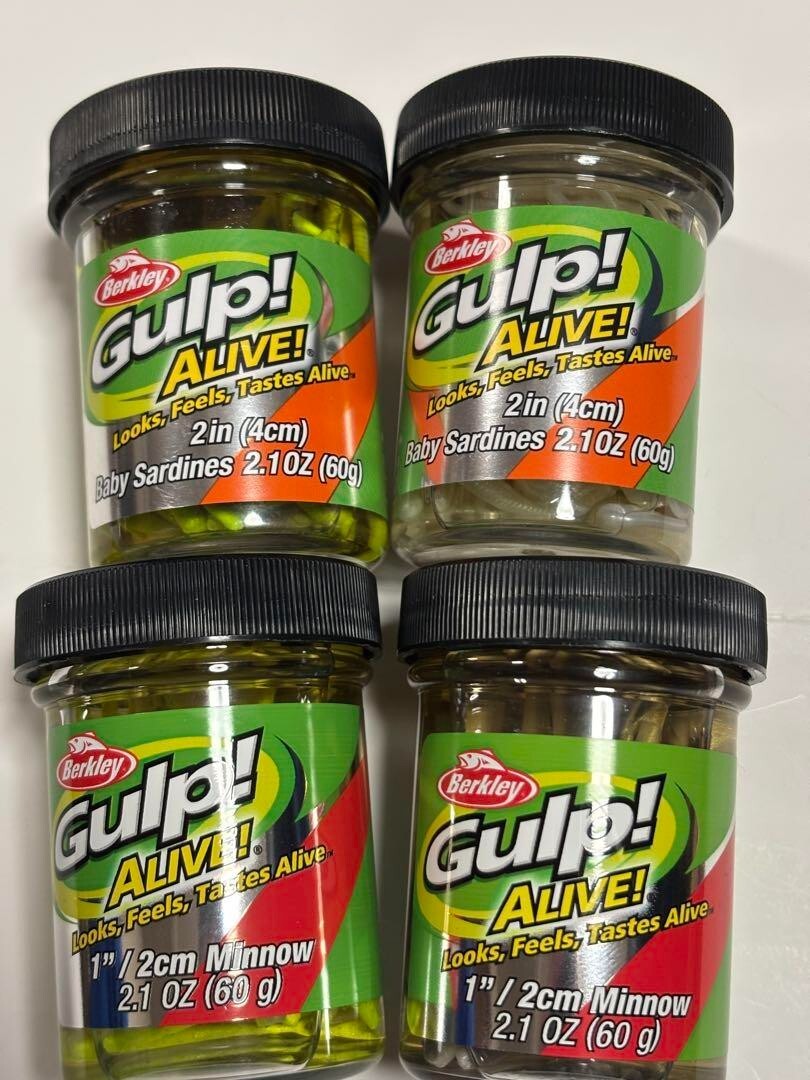Berkley Gulp Alive Set Baby Sardine 2 1 inch Minnow so | eBay