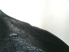 Picture 8 of 12