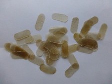 50 X CELLO BRIDGE PARCHMENT / PROTECTOR, PLACE UNDER STRINGS, UK SELLER  