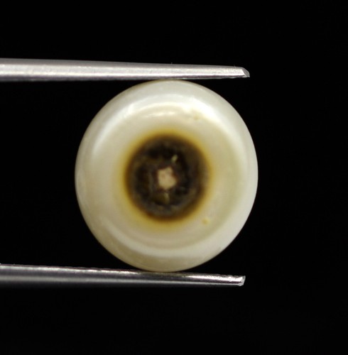 Untreated Uneven Shape 8.00 Ct Big Natural White Keshi Pearl Gemstone 11x8 mm - Picture 5 of 10
