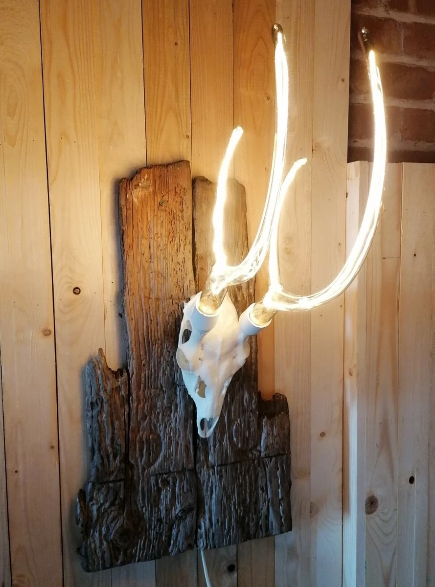 Roe Deer skull Wall art antler led Lamp on driftwood mancave