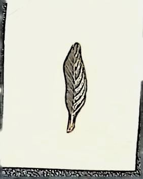 Bronze Eagle Scout Palm Scout Pin (2026-04-380)