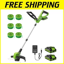 Professional 2-in-1 String Trimmer with 2 Batteries