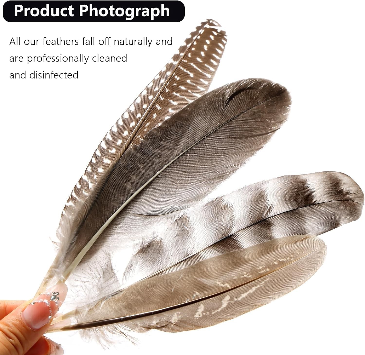 24 Pcs Natural Guinea Fowl Wing Feathers 4 Styles, 6-8" for Crafts, Jewelry, DIY