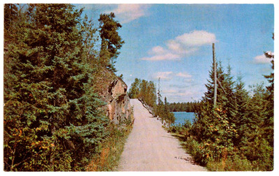 Postcard ''Ely, Minnesota - Deep in the Forest Near the Border''