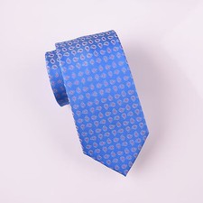 Light Blue Small Stylish Paisley Floral 3 Inch Skinny Woven Tie Formal Business
